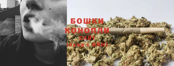 шишки Аркадак