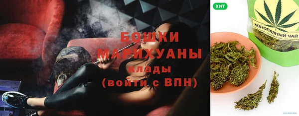 шишки Аркадак