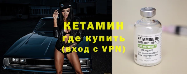 шишки Аркадак