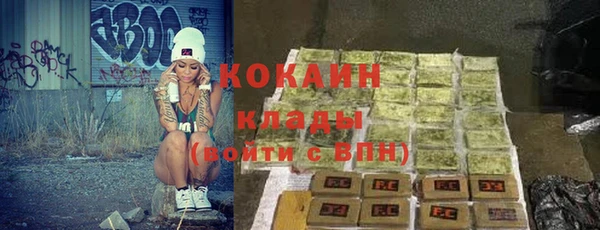 шишки Аркадак